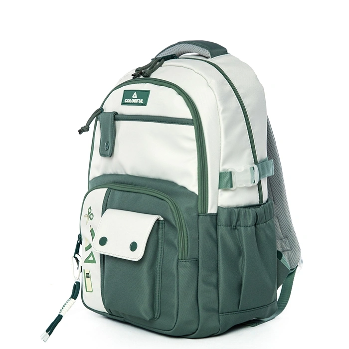 CARLOS SIRT ÇANTASI HAKİ