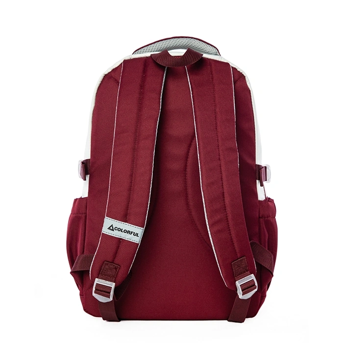 CARLOS SIRT ÇANTASI BORDO