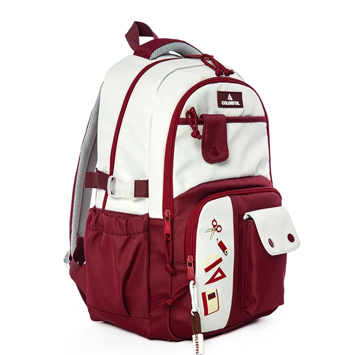 CARLOS SIRT ÇANTASI BORDO