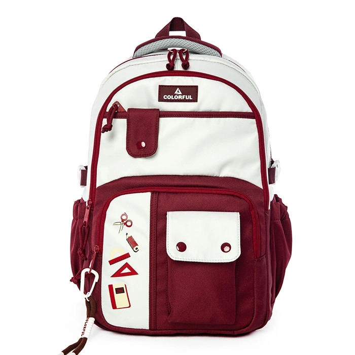 CARLOS SIRT ÇANTASI BORDO