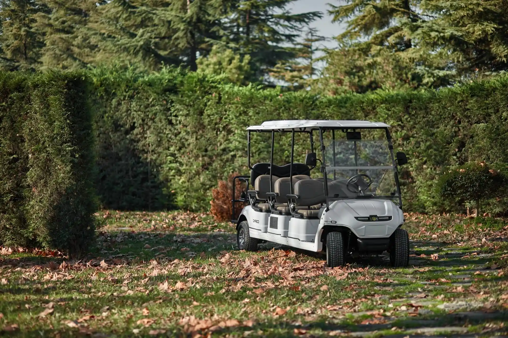 GOLF ARABASI