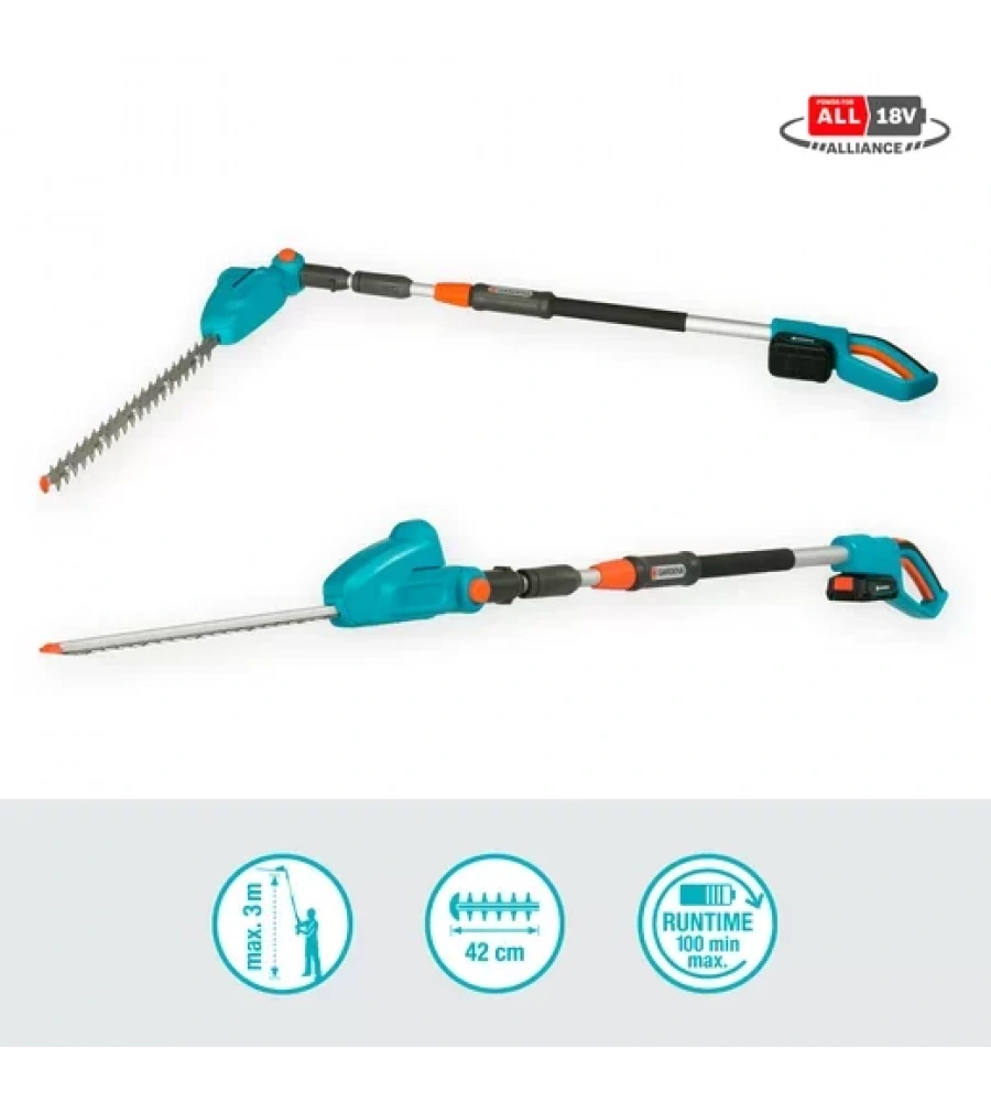 Akülü Teleskopik Çit Budama Makinesi THS 42/18V P4A Kullanıma Hazır Set