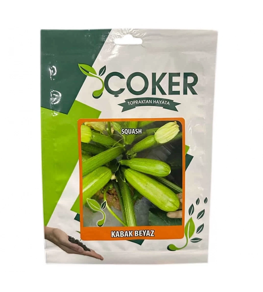 Beyaz Kabak Tohumu 10gr Paket