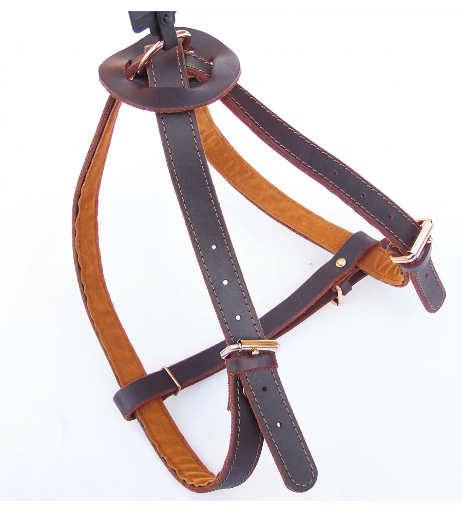 Deri Gögüs Gezdirme Tasması Büyük