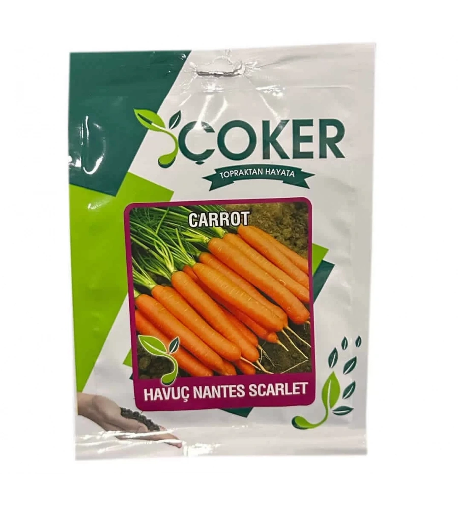 Havuç Nantes Tohumu 10gr Paket