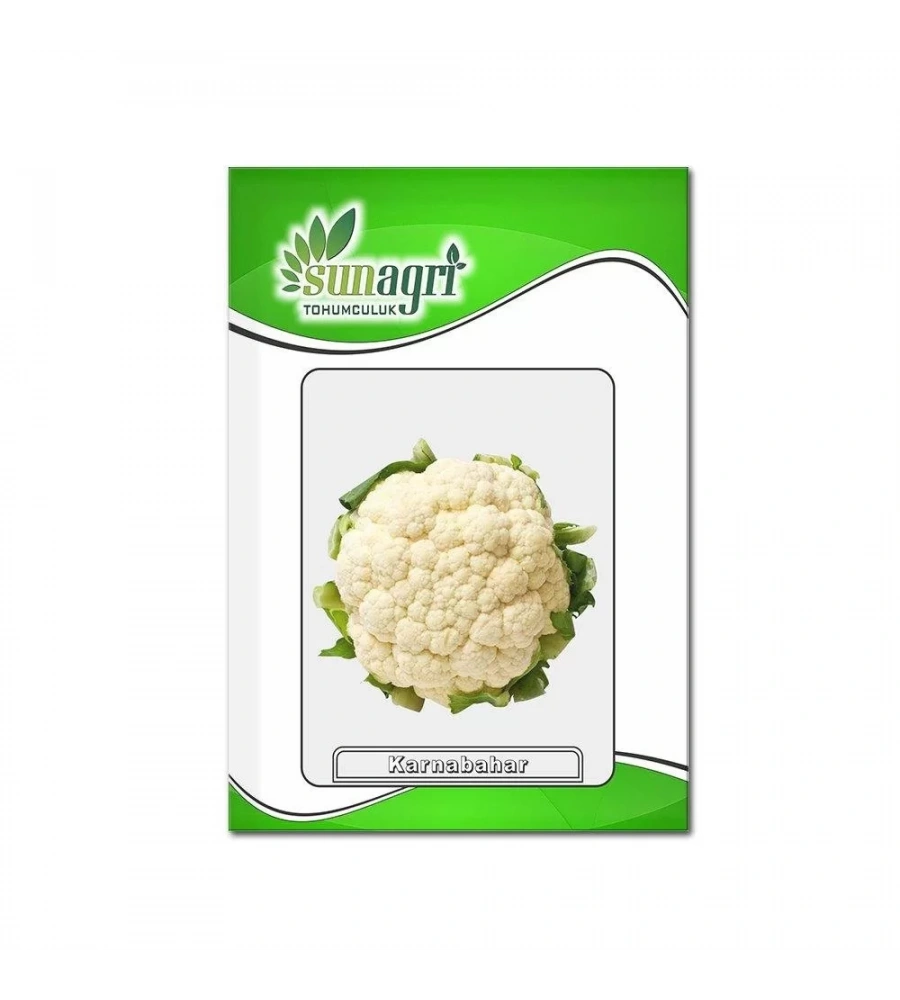 Karnıbahar Tohumu 105 Adet Tohum Sebze Tohumu