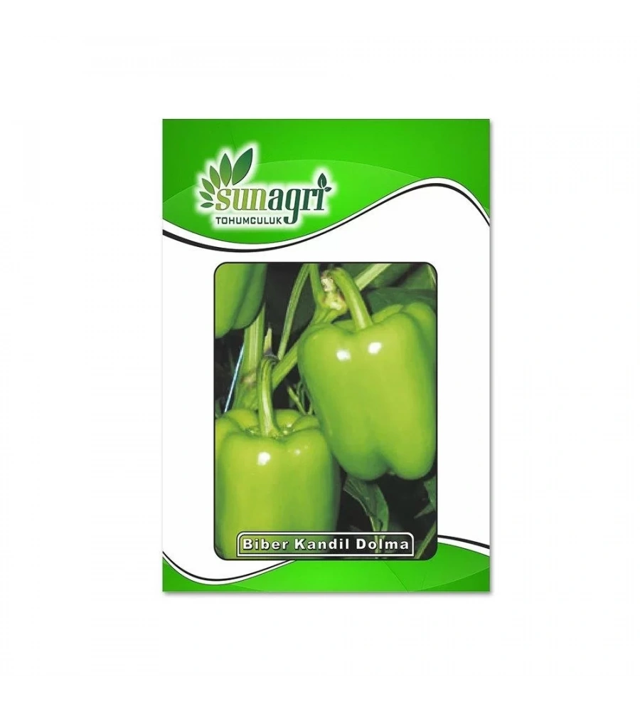 Sunagri Biber Kandil Dolması Tohumu 10 Gr Paket