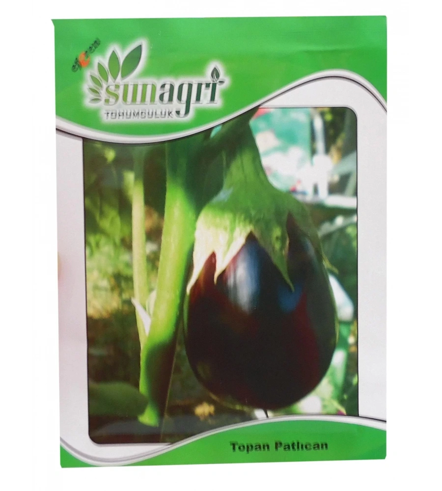 Sunagri Patlıcan Topan Tohumu 10Gr Paket