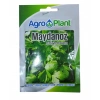Agro Plant Maydanoz Tohumu 25Gr Paket DGiant Italiana