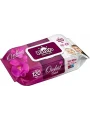 PAFİLYA ISLAK MENDİL 120 Lİ *24