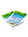 NAKSAN RESİMLİ 2 NO POŞET 26*38*30