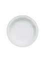 PLASTİK TABAK 17 CM 100 LÜ *20
