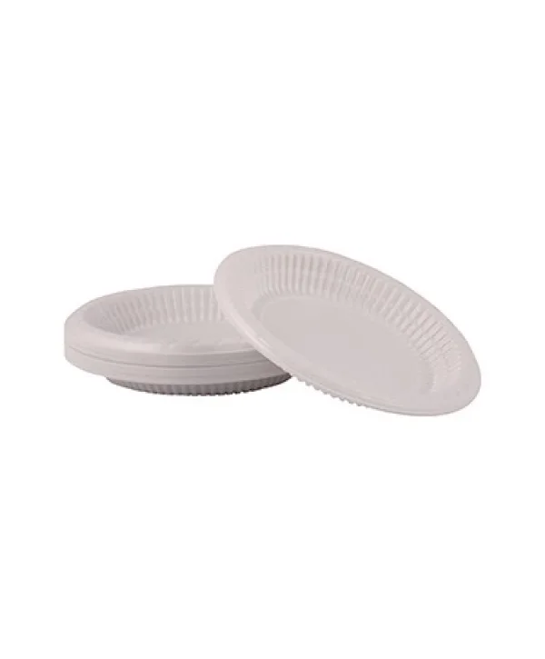PLASTİK TABAK 13 CM 100 LÜ *20