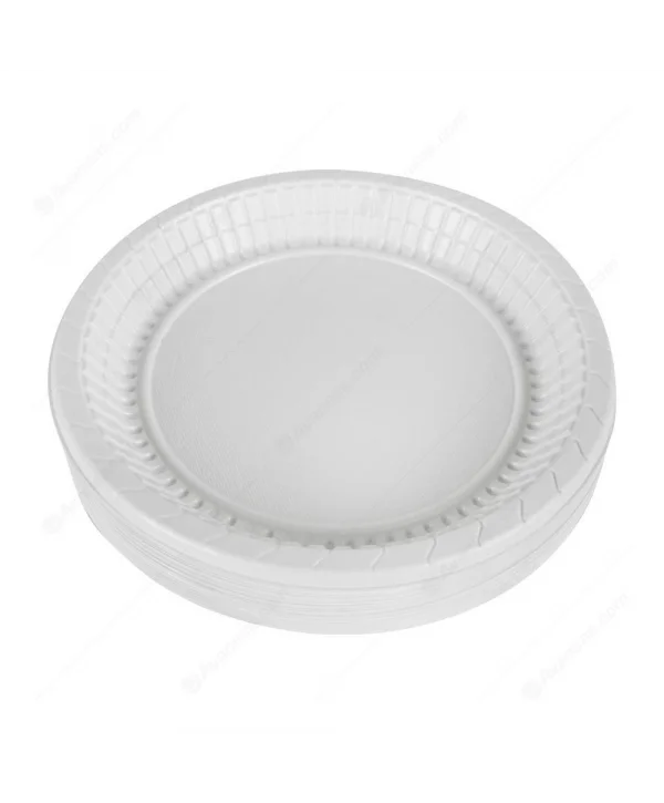 PLASTİK TABAK 21 CM 100 LÜ *20