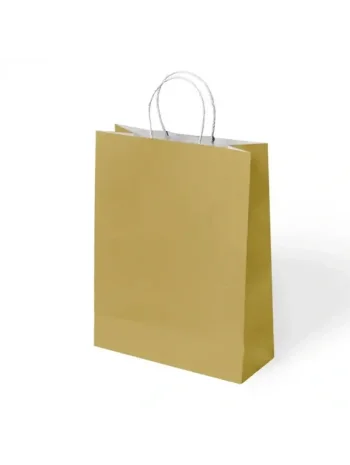 ERDE KRAFT ÇANTA KÜÇÜK BOY GOLD 18*8*24 25 *10 LU