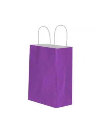 ERDE KRAFT ÇANTA ORTA BOY MOR  25*12*31  25 Lİ *10 LU