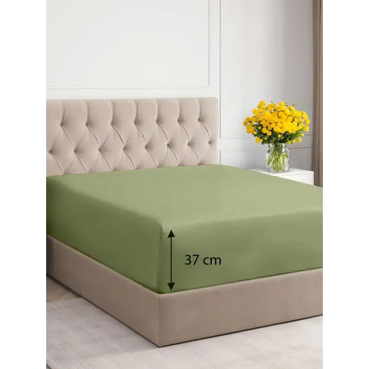 Sabia %100 Pamuk 62 Tel (155 TC) Okotex Sertifikalı Çift Kişilik Lastikli Çarşaf Seti 160x200+37 cm - Zeytin