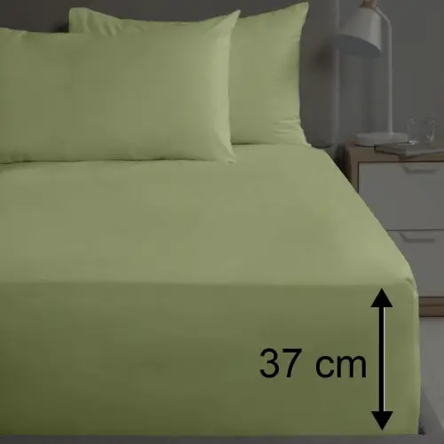 Sabia %100 Pamuk 62 Tel (155 TC) Okotex Sertifikalı Çift Kişilik Lastikli Çarşaf Seti 140x200+37 cm - Zeytin