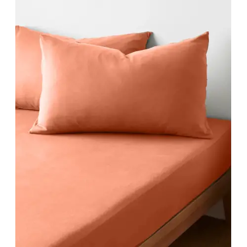 Sabia %100 Pamuk 62 Tel (155 TC) Okotex Sertifikalı Çift Kişilik Lastikli Çarşaf Seti 160x200+37 cm - Açık Kiremit