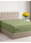 Sabia %100 Pamuk 62 Tel (155 TC) Okotex Sertifikalı Çift Kişilik Lastikli Çarşaf Seti 150x200+37 cm - Zeytin