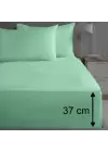 Sabia %100 Pamuk 62 Tel (155 TC) Okotex Sertifikalı Çift Kişilik Lastikli Çarşaf Seti 160x200+37 cm - Mintblue