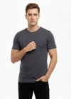 Erkek Bisiklet Yaka Slim Fit dar kesim Likralı Tişört - Füme