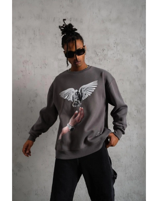 Erkek Güvercin Baskılı Sweatshirt - Gri