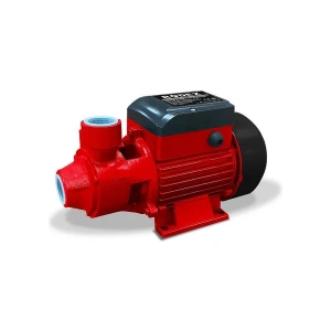 Rodex RDX874 Su Pompası 750 W