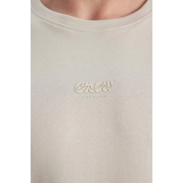 Defacto B422 Gri Comfort Regular Fit Rahat Kalıp Bisiklet Yaka Baskılı Kısa Kollu Ağır Kumaş Tişört