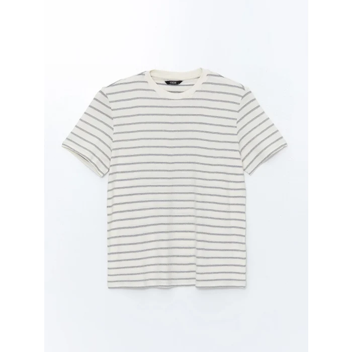 XSIDE ANTRASİT Bisiklet Yaka Kısa Kollu Çizgili Penye Erkek Tişört
