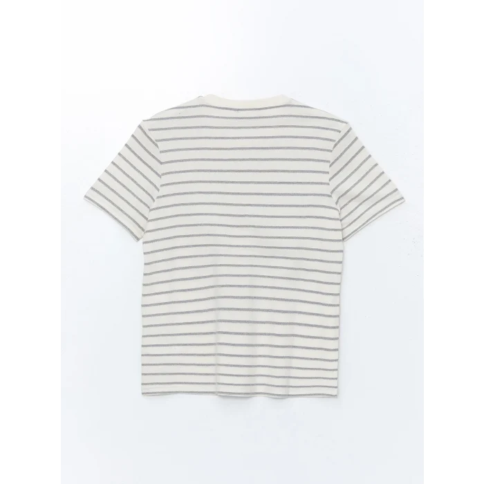 XSIDE ANTRASİT Bisiklet Yaka Kısa Kollu Çizgili Penye Erkek Tişört