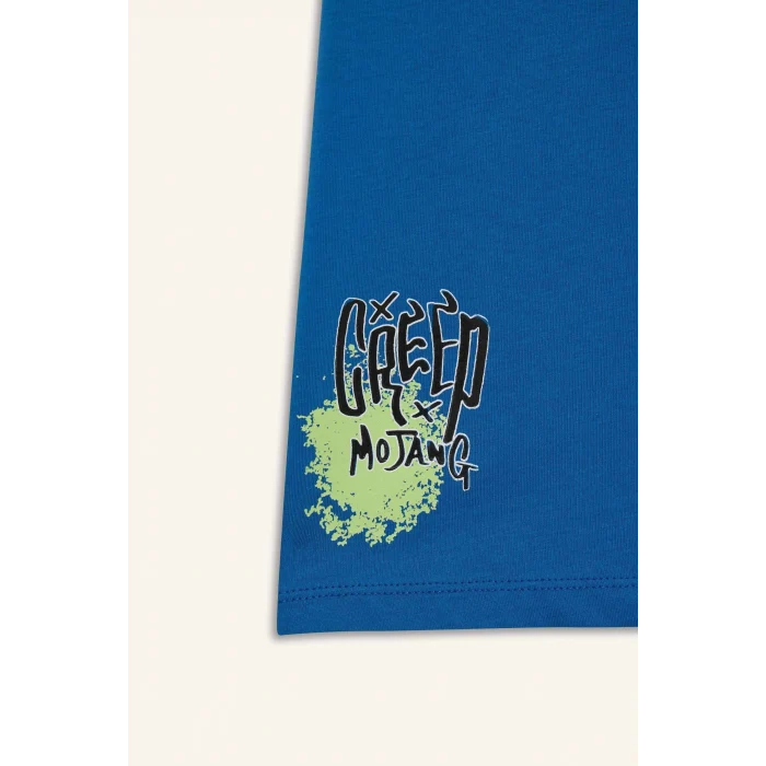 Defacto D9561 Mavi Erkek Çocuk Kısa Kollu Tişört