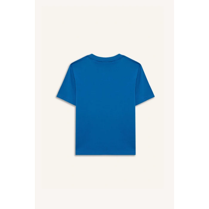 Defacto D9561 Mavi Erkek Çocuk Kısa Kollu Tişört