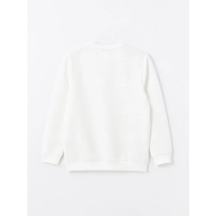 LCW Vision EKRU Bisiklet Yaka Uzun Kollu Erkek Sweatshirt