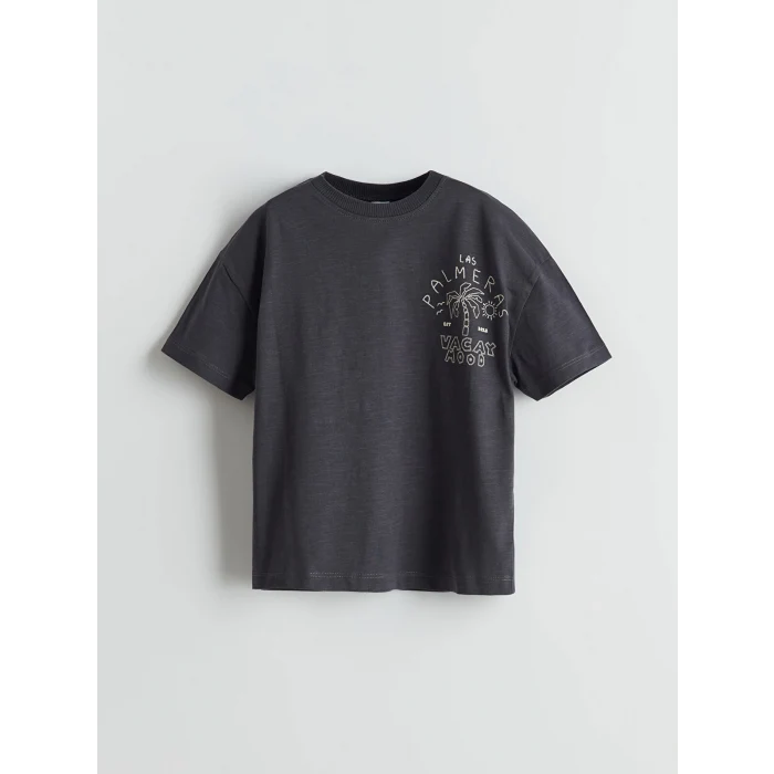 LCW Kids ANTRASİT Bisiklet Yaka Baskılı Erkek Çocuk Tişört ve Şort 2li