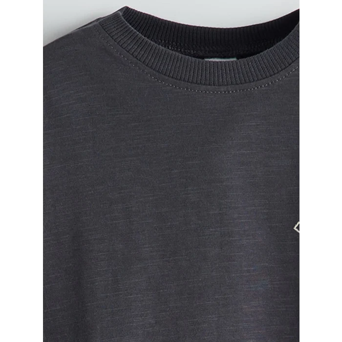 LCW Kids ANTRASİT Bisiklet Yaka Baskılı Erkek Çocuk Tişört ve Şort 2li