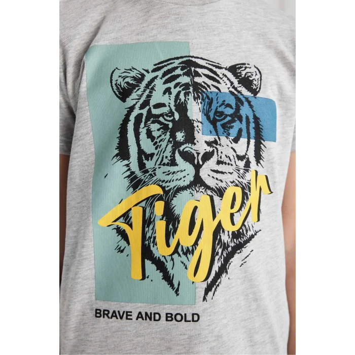 Defacto C2779 Gri Erkek Çocuk Pijama Takımı Baskılı Kısa Kollu Üst Şort