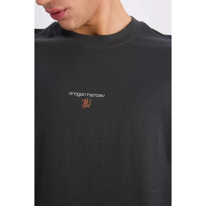 Defacto E0908 Antrasit %100 Pamuk Boxy Fit Bisiklet Yaka Sırt Baskılı Kısa Kollu Tişört