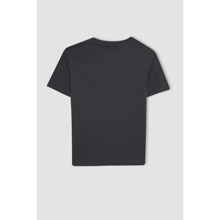 Defacto C6255 Antrasit Erkek Çocuk Bisiklet Yaka Renk Şekil Değiştiren Basklı Kısa Kollu Tişört