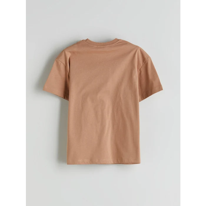 LCW Kids Kahverengi Dinozor Baskılı Erkek Çocuk Tişört ve Şort 2li