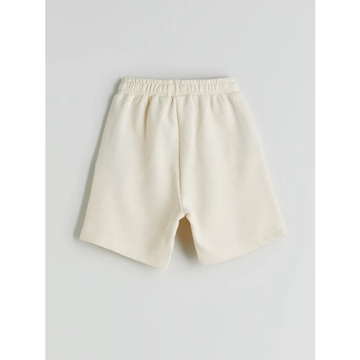 LCW Kids Kahverengi Dinozor Baskılı Erkek Çocuk Tişört ve Şort 2li