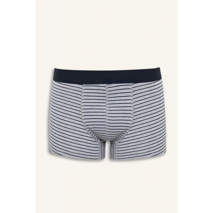 Defacto E2920 Lacivert Regular Fit Hayvan Baskılı 3lü Boxer