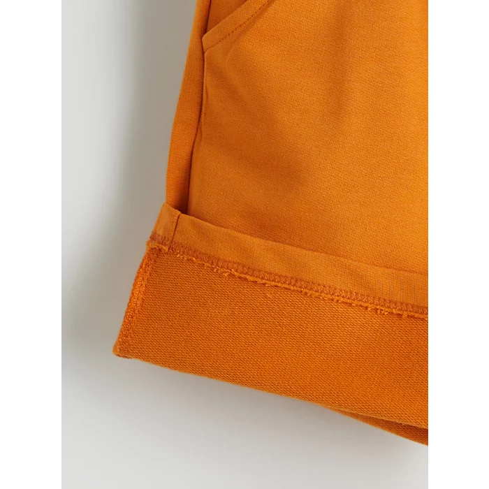 LCW Kids Ekru Dinozor Baskılı Erkek Çocuk Tişört ve Şort 2li