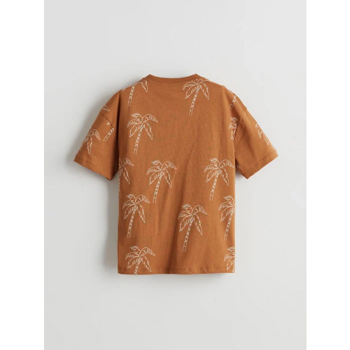 LCW Kids Kahverengi Baskılı Pamuklu Erkek Çocuk Tişört ve Şort 2li