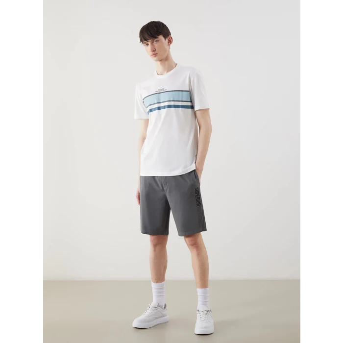 XSIDE Gri Standart Kalıp Baskılı Erkek Şort