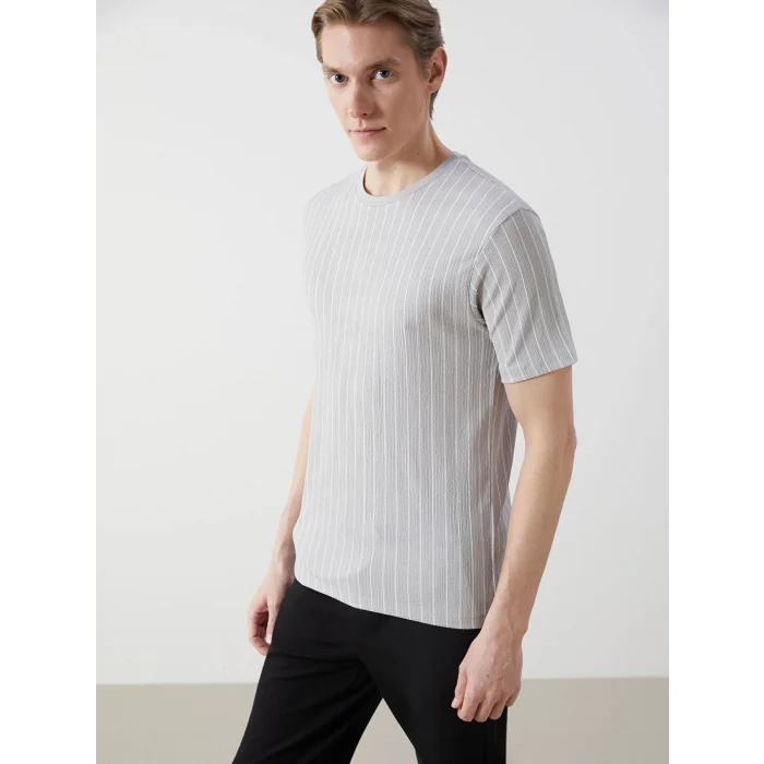 LCW Vision Gri Bisiklet Yaka Kısa Kollu Çizgili Erkek Dokulu Tişört