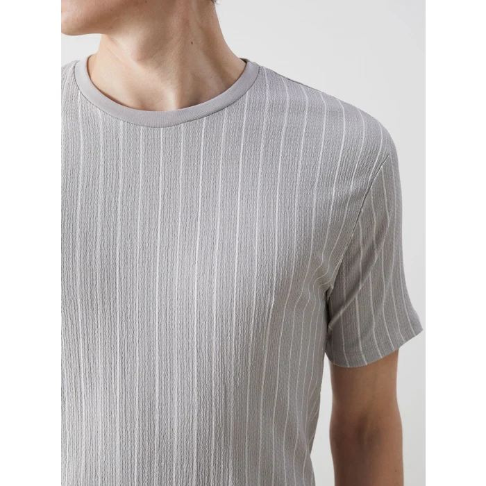 LCW Vision Gri Bisiklet Yaka Kısa Kollu Çizgili Erkek Dokulu Tişört