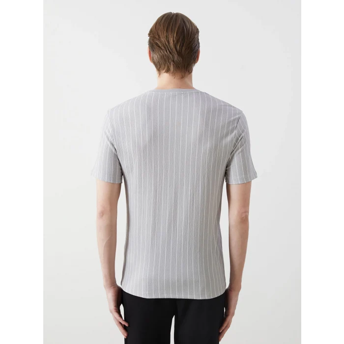 LCW Vision Gri Bisiklet Yaka Kısa Kollu Çizgili Erkek Dokulu Tişört