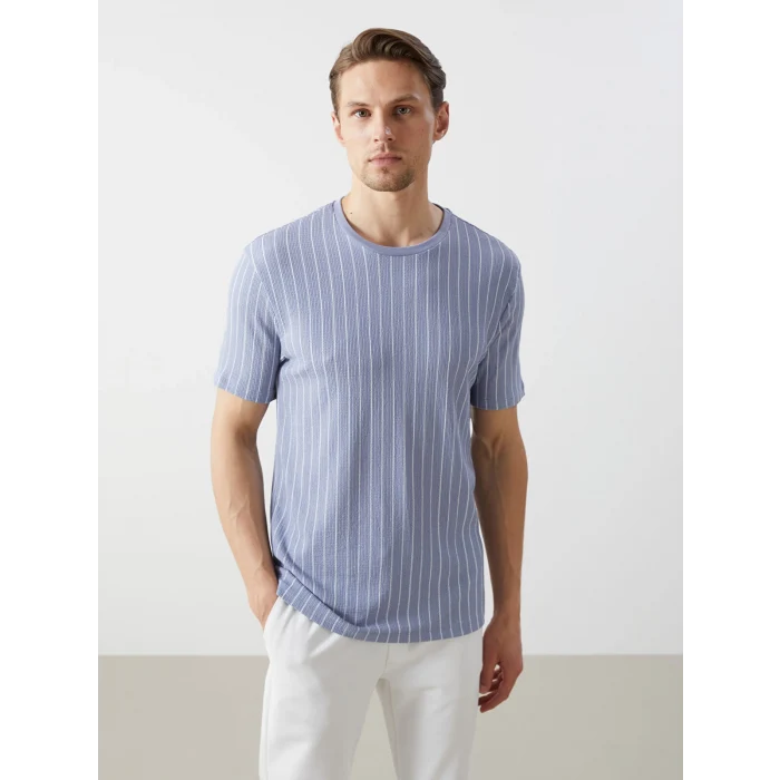 LCW Vision Mavi Bisiklet Yaka Kısa Kollu Çizgili Erkek Dokulu Tişört