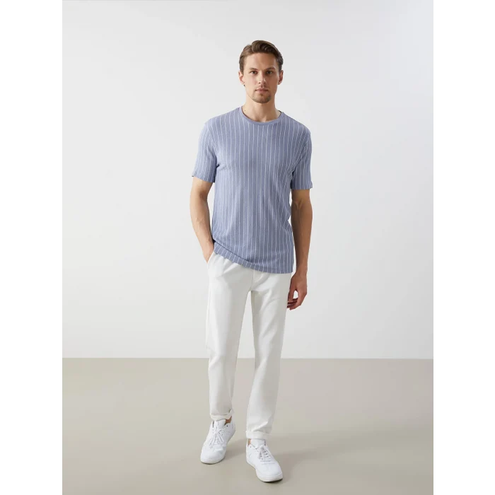 LCW Vision Mavi Bisiklet Yaka Kısa Kollu Çizgili Erkek Dokulu Tişört